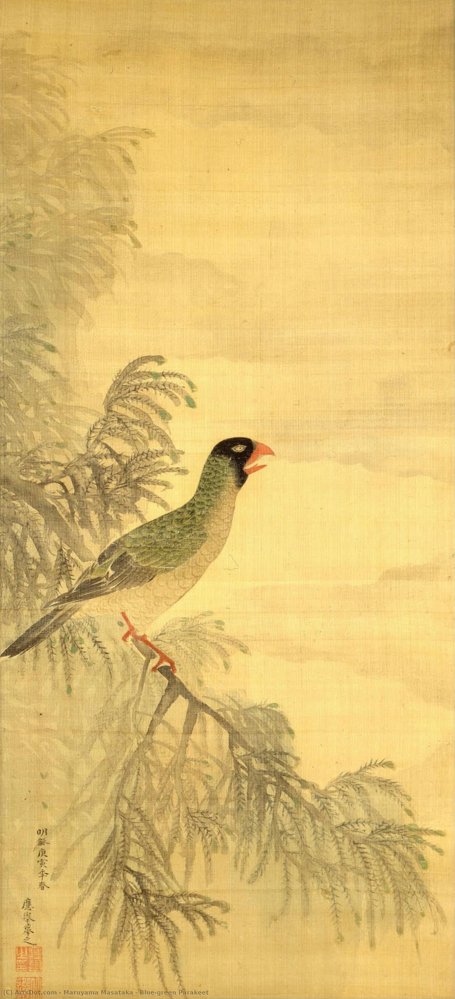 Blue-green Parakeet — Maruyama Masataka