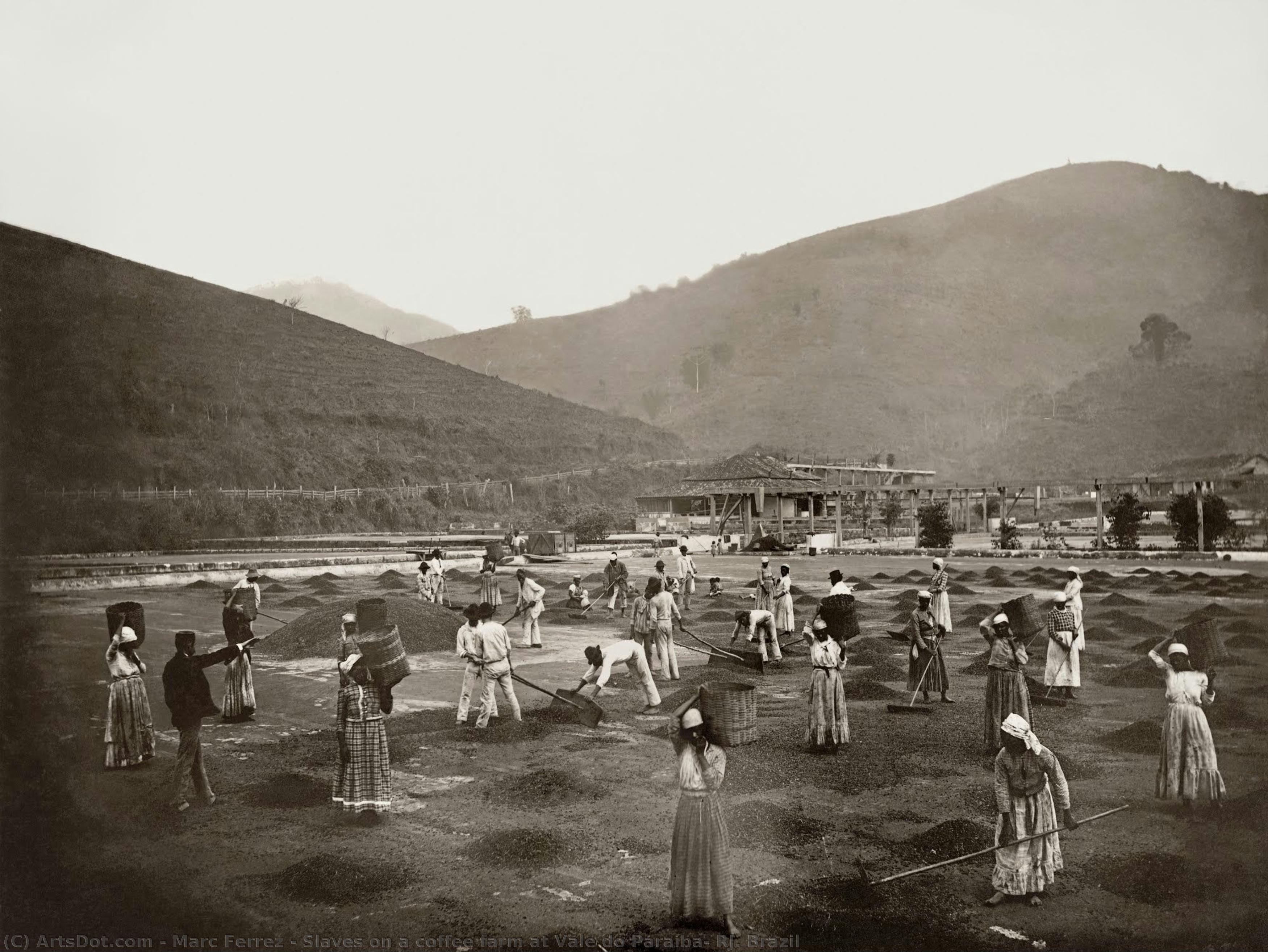 Slaves On A Coffee Farm At Vale Do Paraíba, Rj. Brazil — Mark Ferz