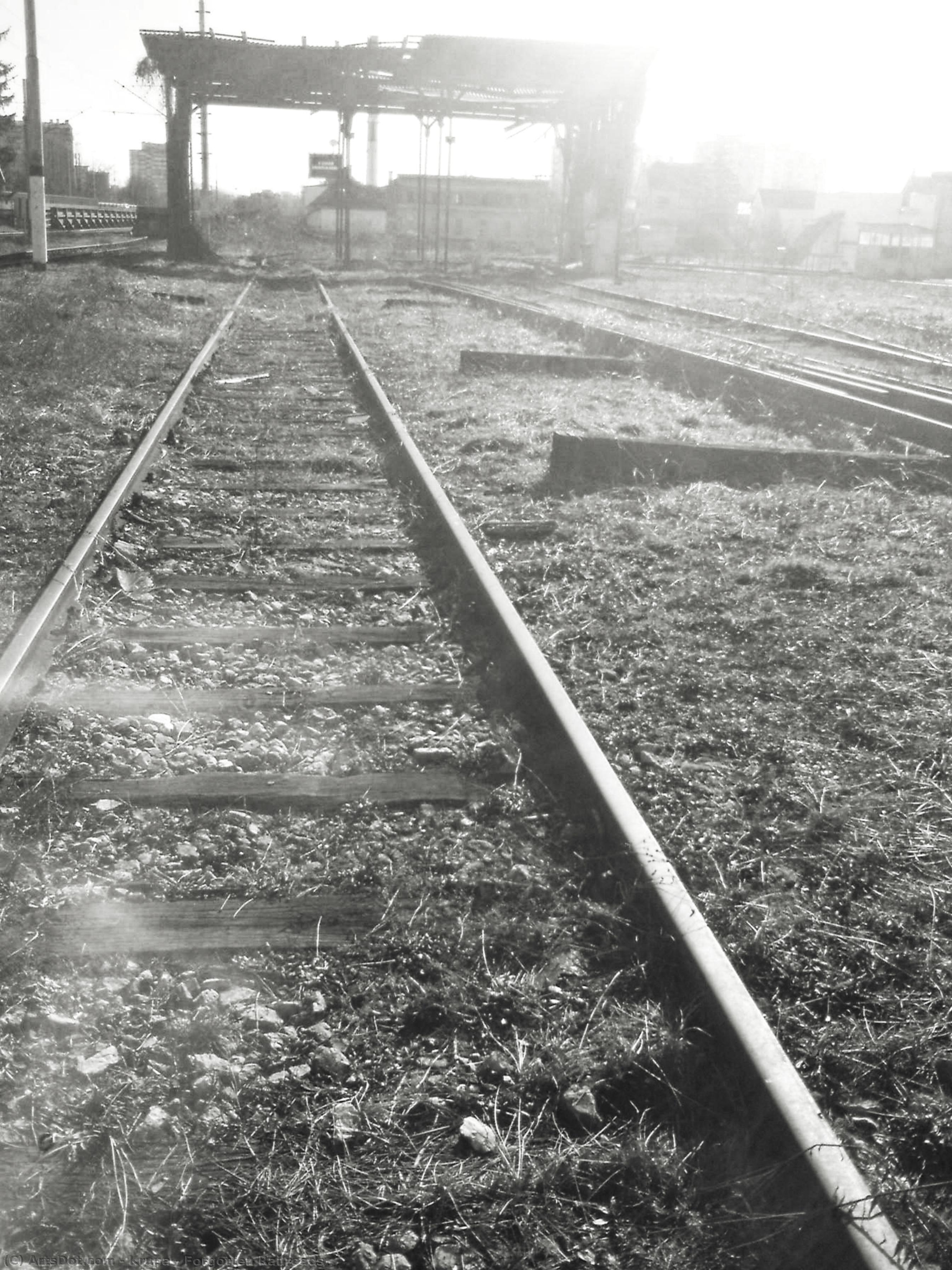 Forgotten Railroads — Alfred Freddy Krupa