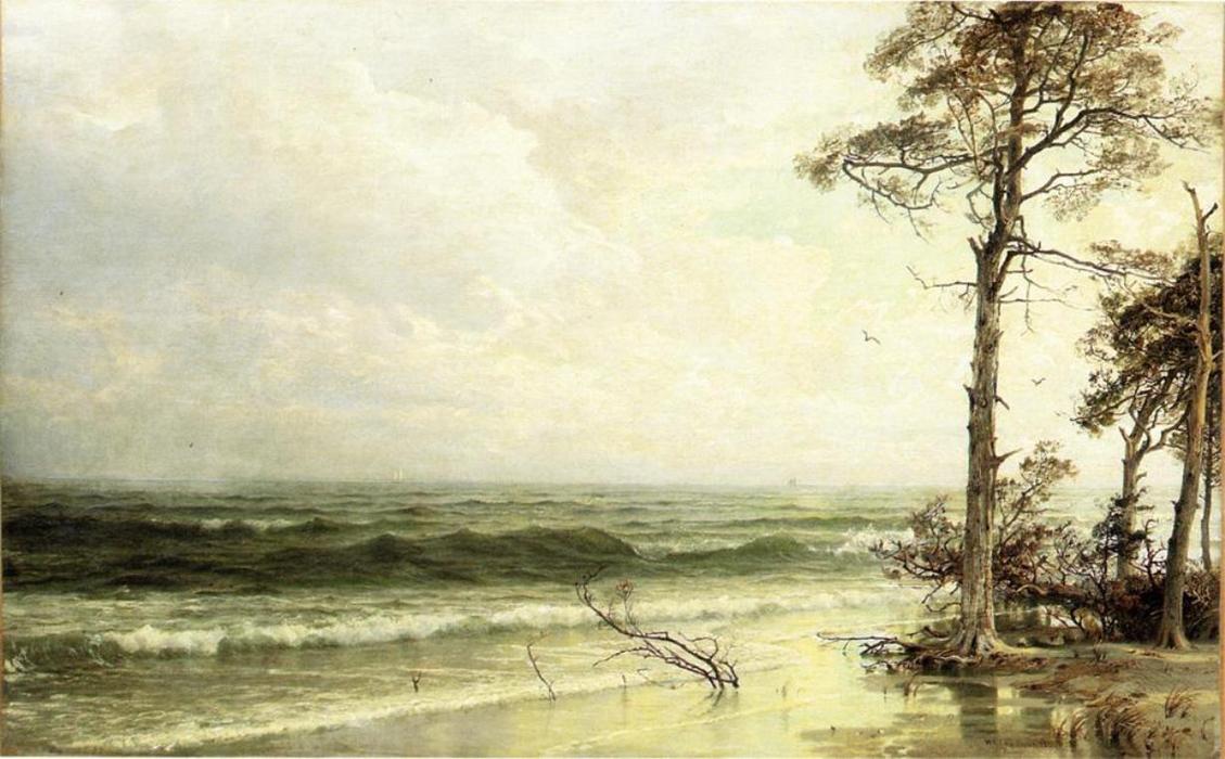 Cedars On The Shore Near Atlantic City — William Trost Richards