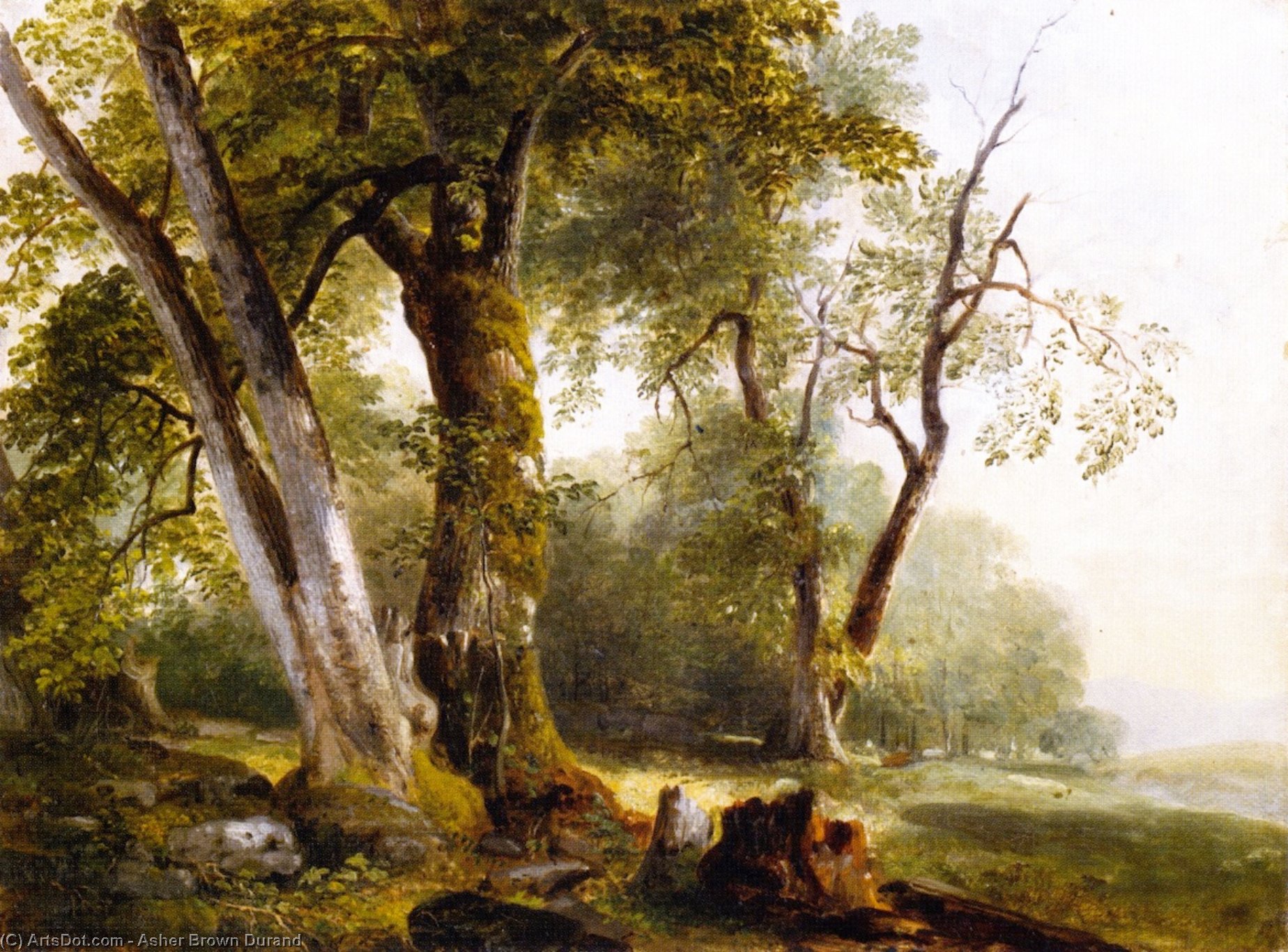 Landscape With Beach Trees — Asher Brown Durand