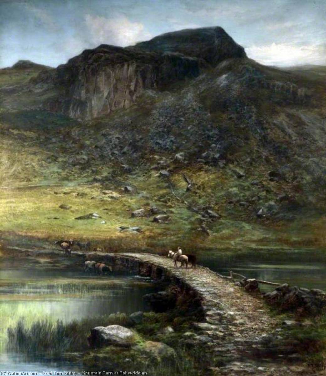 Mountain Tarn At Dolwyddelan — Fred Tom Sibley