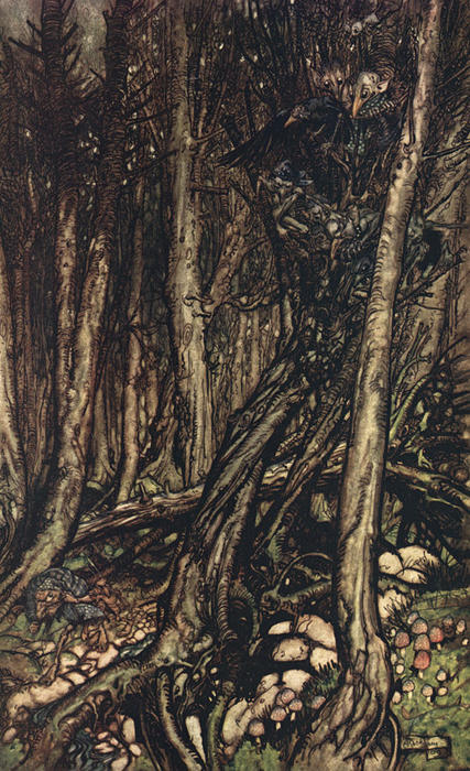 At The Back Of The Little Tonge Of Land, There Lay A Fearsome Forest Right Perilous To Traverse — Arthur Rackham
