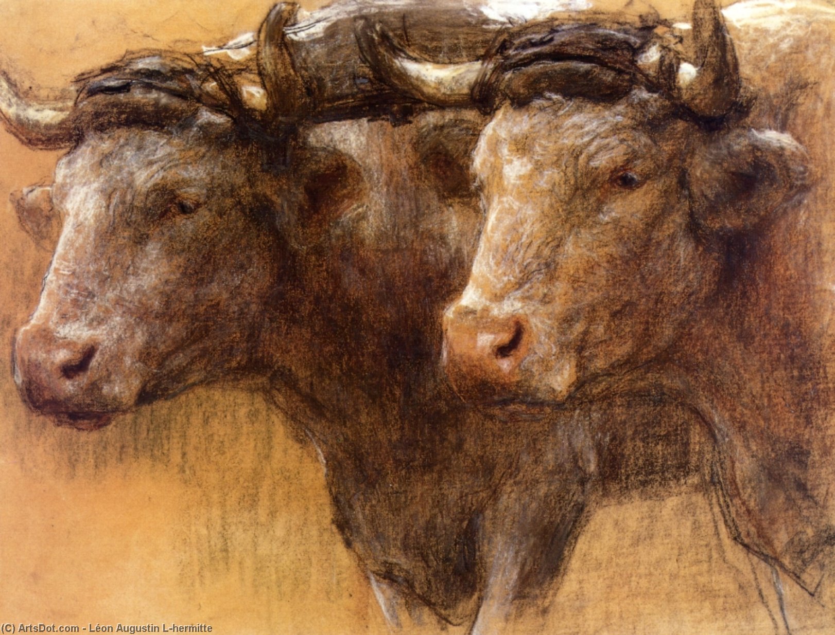 Heads Of Two Oxen, Study For 'la Famille' — Léon Augustin L'hermitte