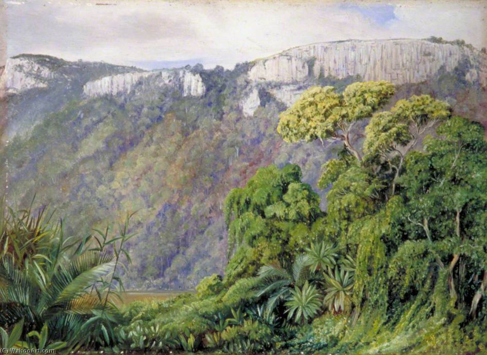Vegetation On The St John's River, Kaffraria — Marianne North