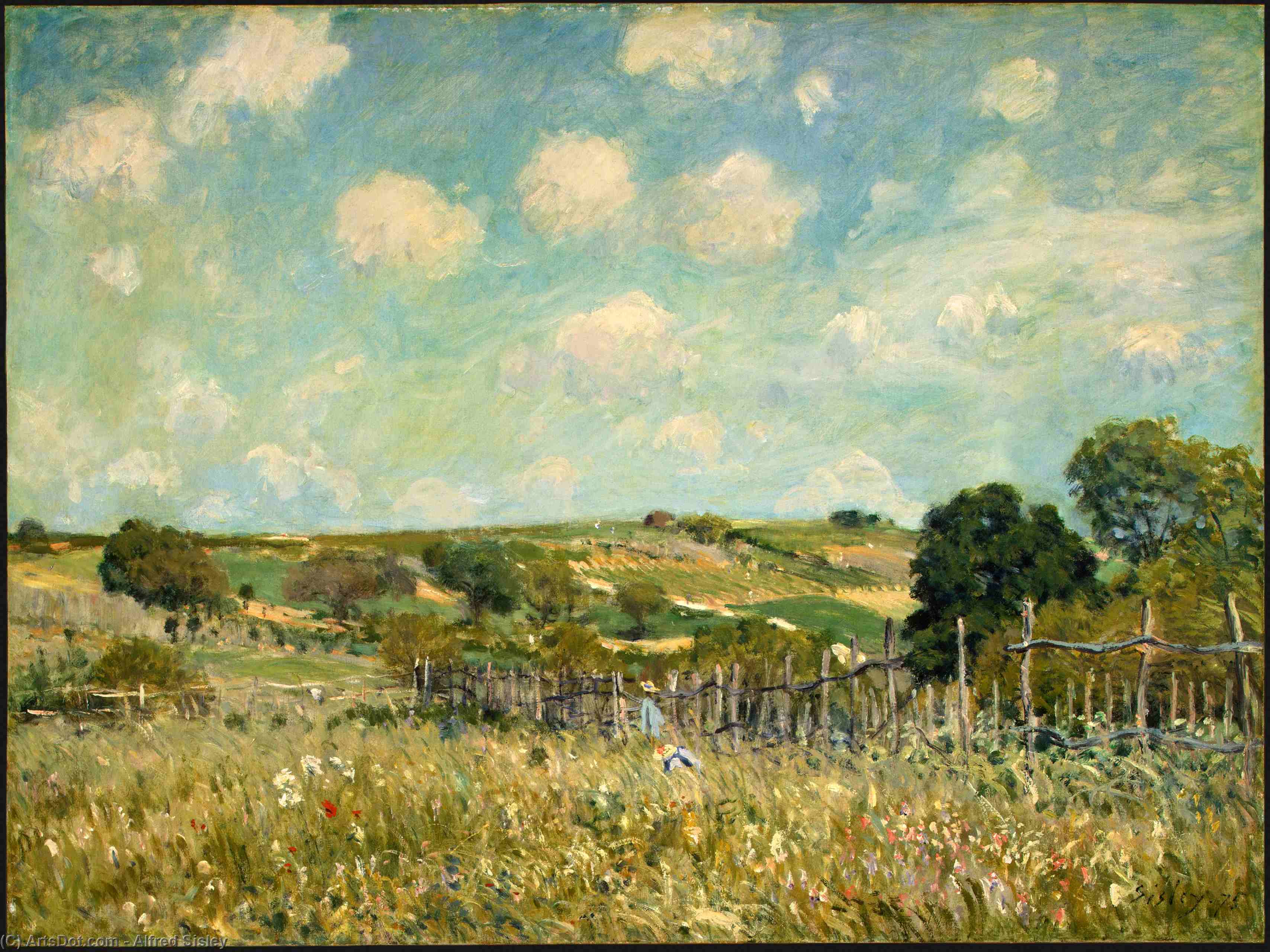 Meadow — Сислей