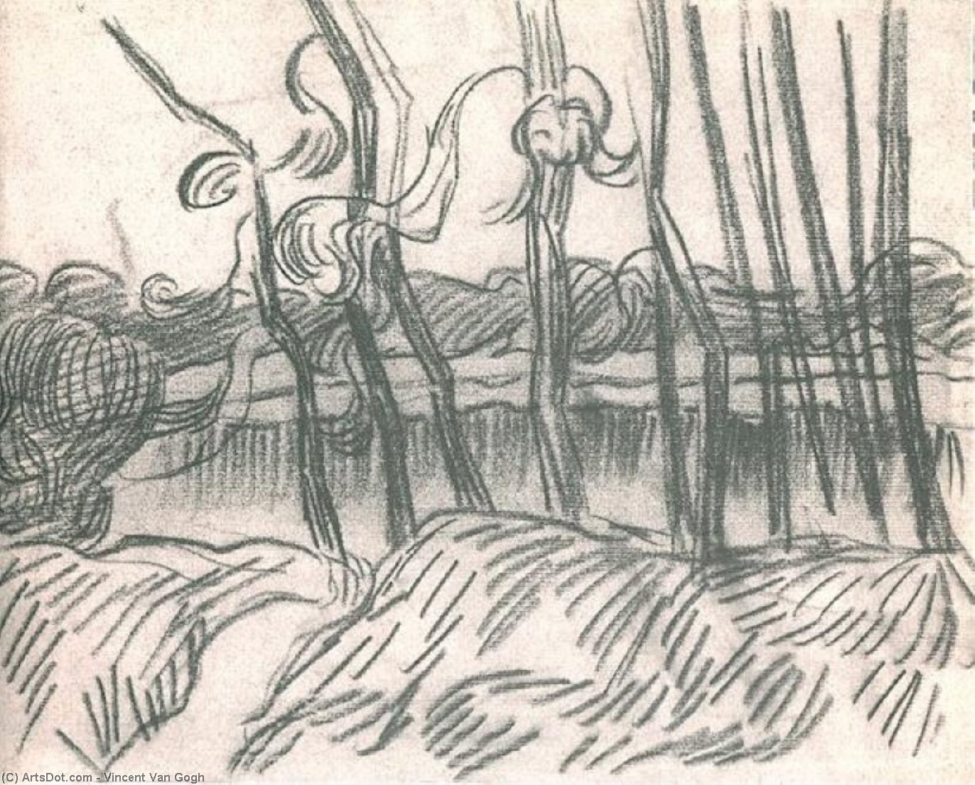 A Row Of Bare Trees — Vincent Willem Van Gogh