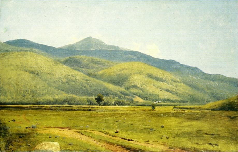 Fields In Summer — William Hart
