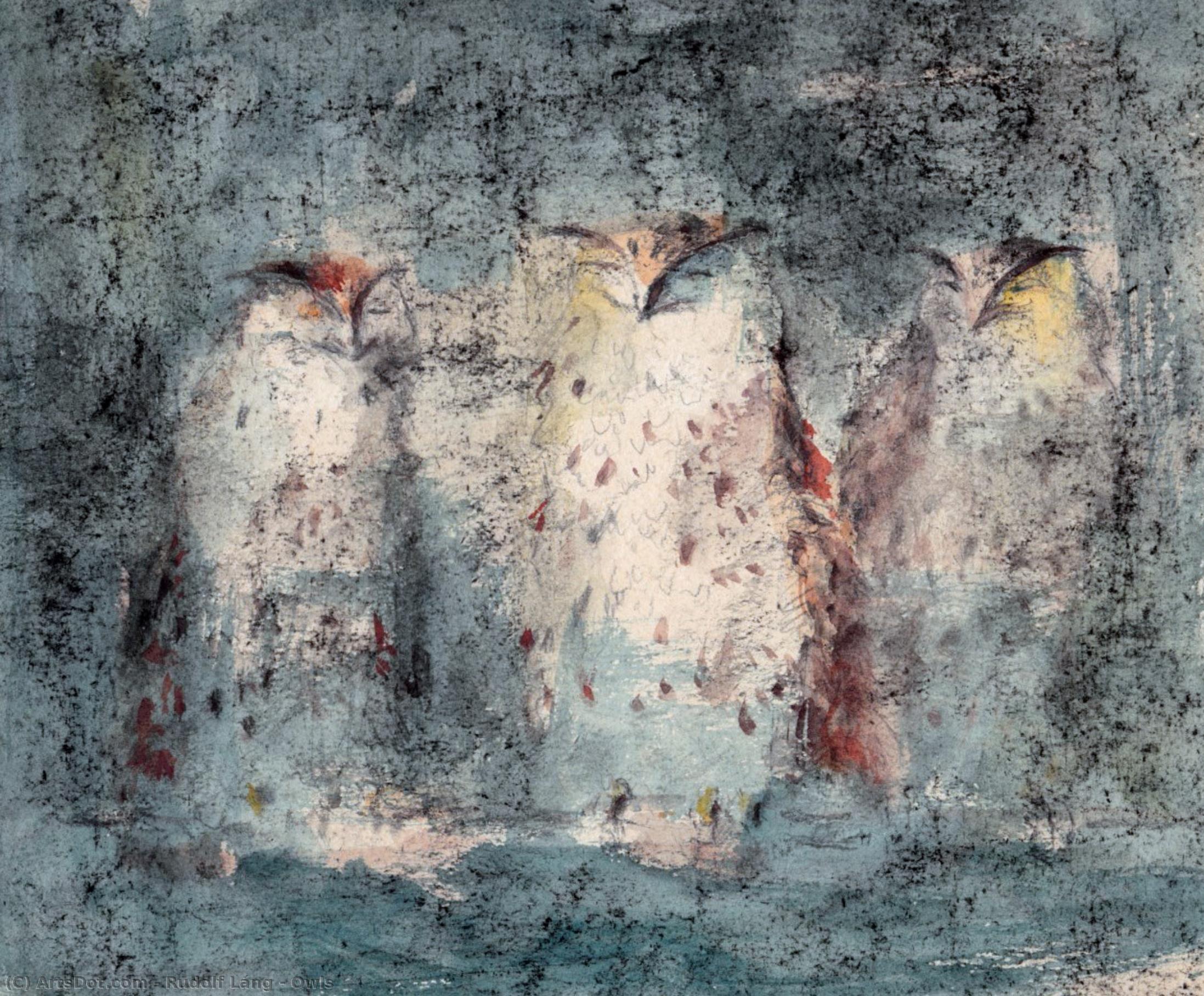 Owls — Rudolf Láng