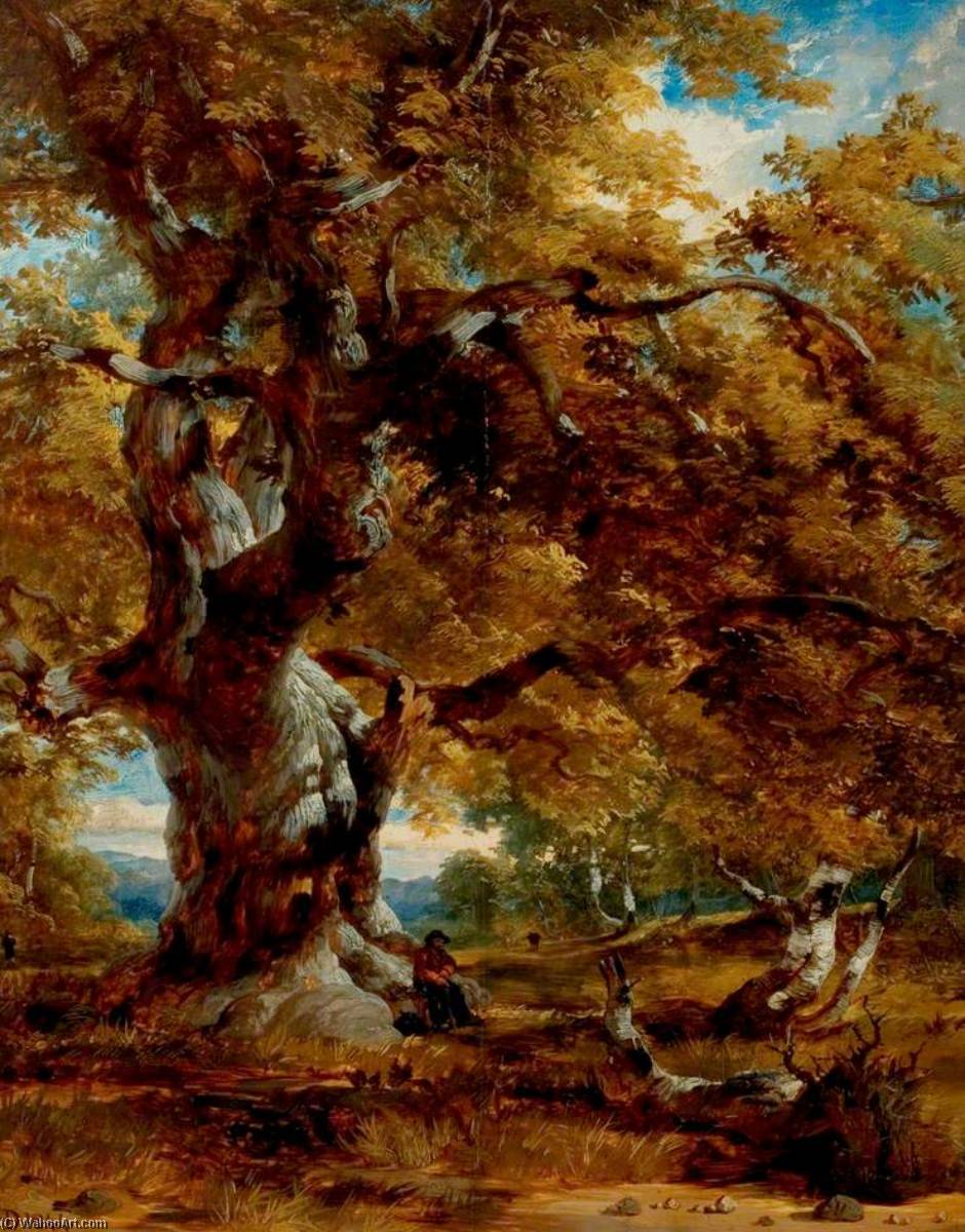 The Major Oak — Генри Томас Доусон