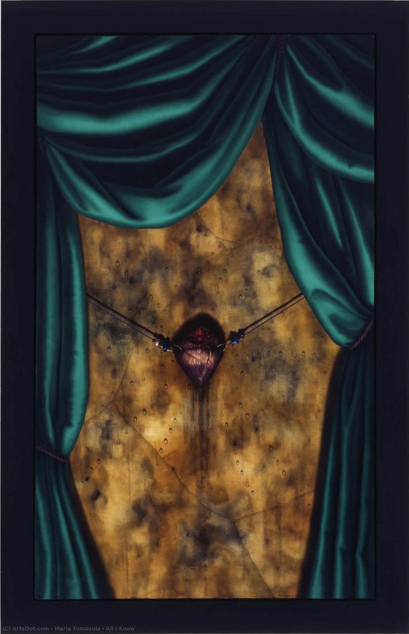 All I Know — Maria Tomasula