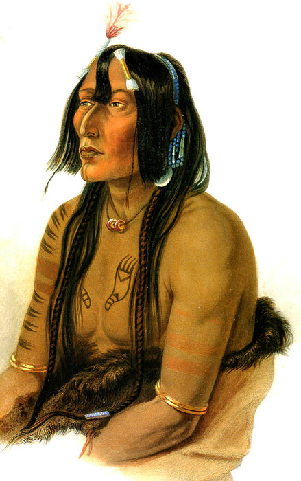 Psihdja-sahpa Yanktonian Indian — カール・ボドマー