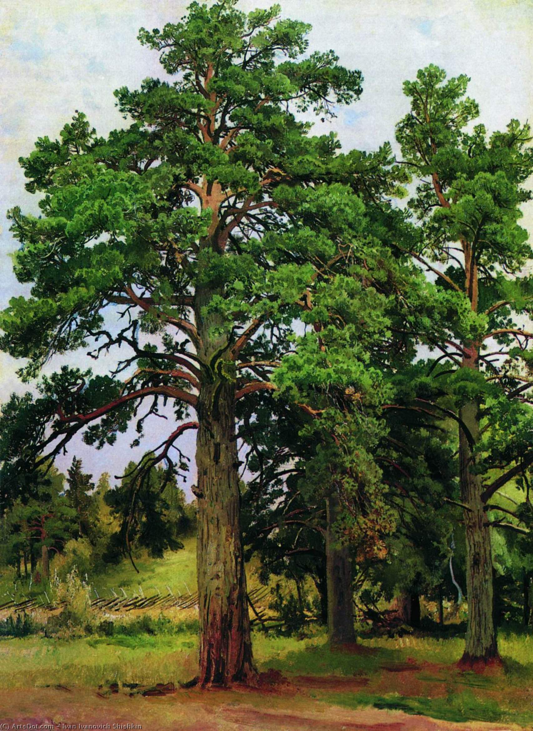 Pine Without The Sun. Mary-howe — Ivan Ivanovich Shishkin