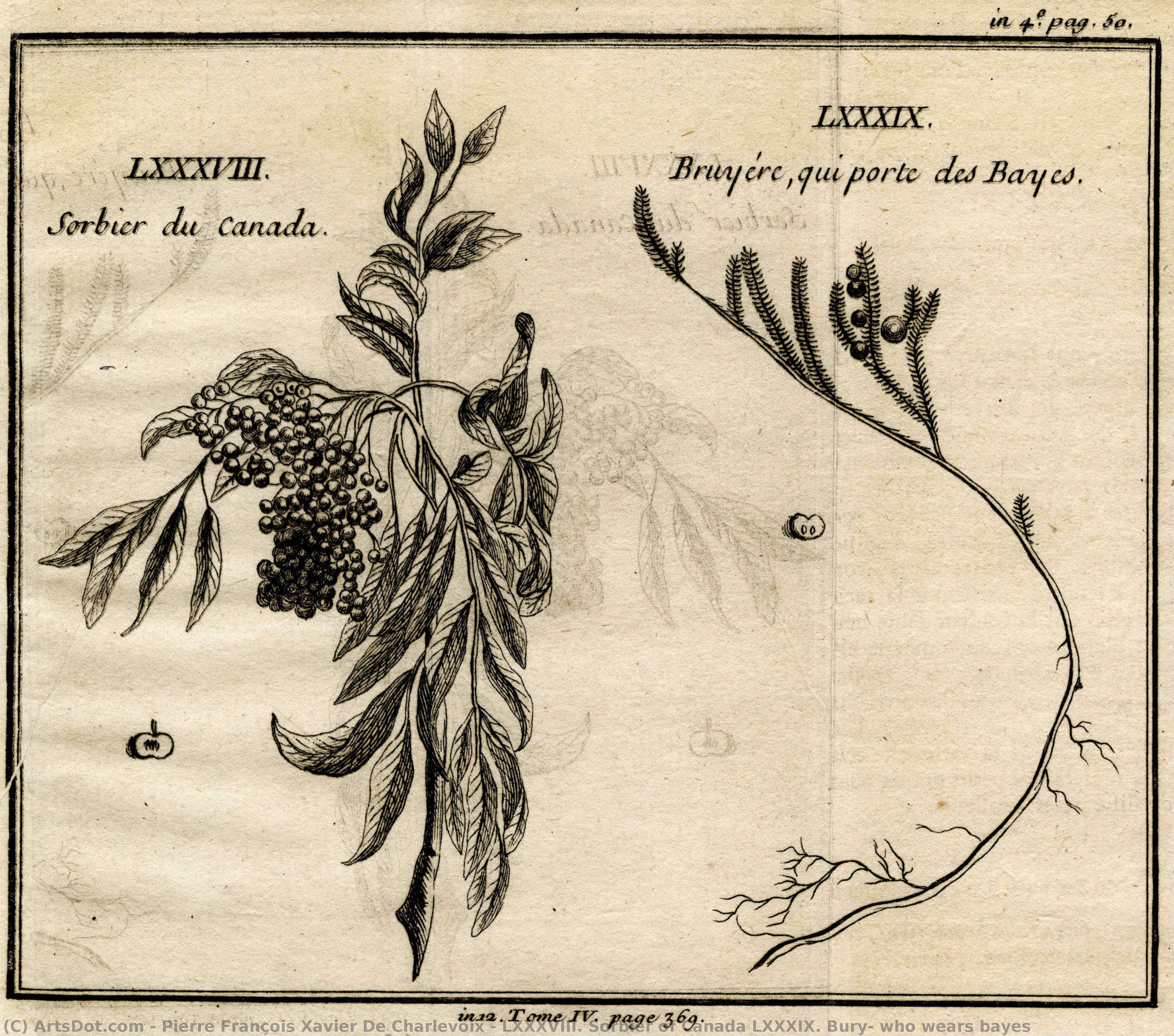 Lxxxviii. Sorbier Of Canada Lxxxix. Bury, Who Wears Bayes — Pjer Fransis Zavier De Karlevo