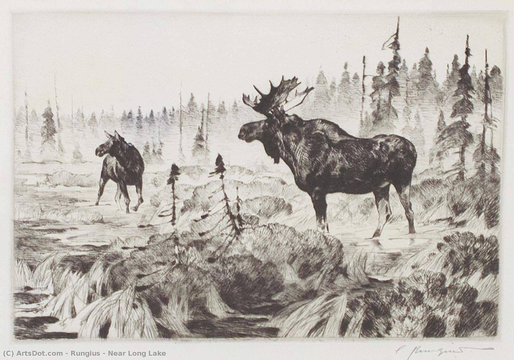 Near Long Lake — Carl Clemens Moritz Rungius