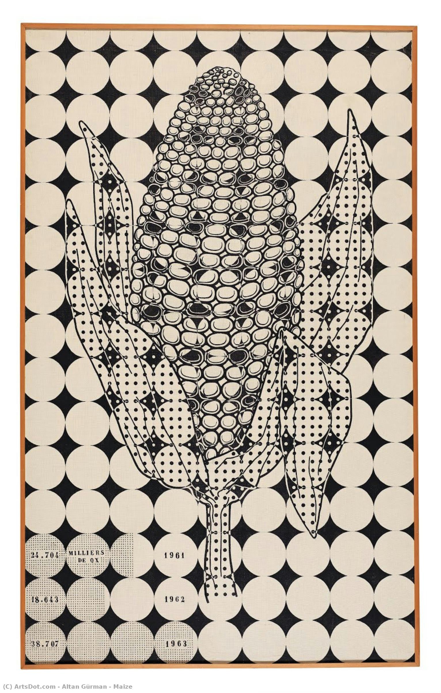 Maize — Altan Gürman