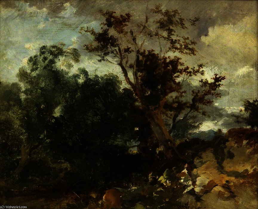 Study Of Trees — William James Müller