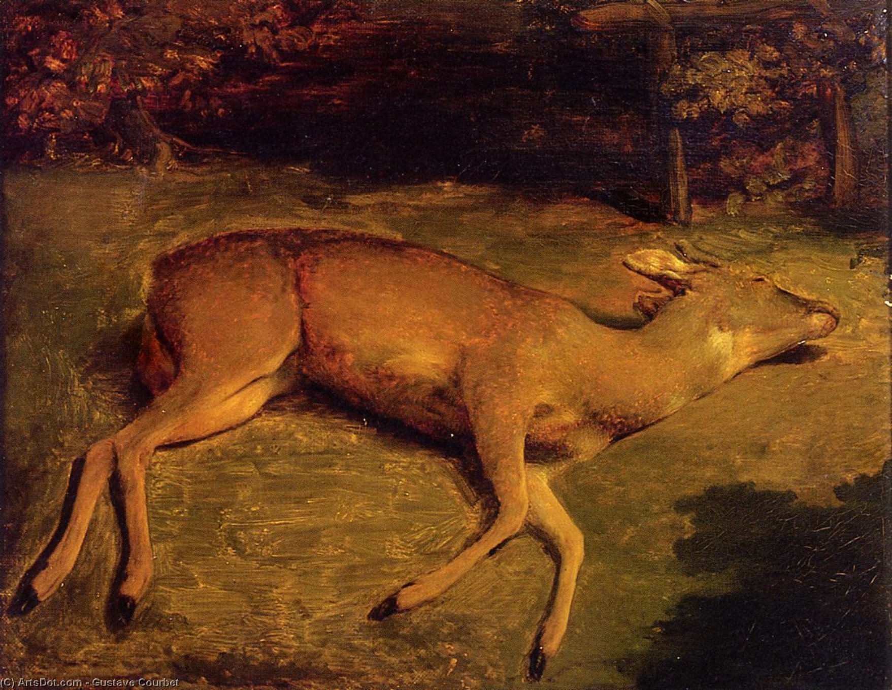 Dead Deer — Gustave Courbet