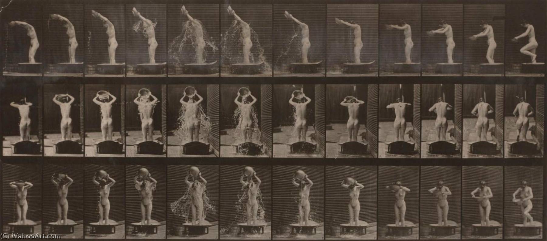 Woman Pouring A Basin Of Water Over Her Head, From The Book Animal Locomotion — Eadweard J Muybridge