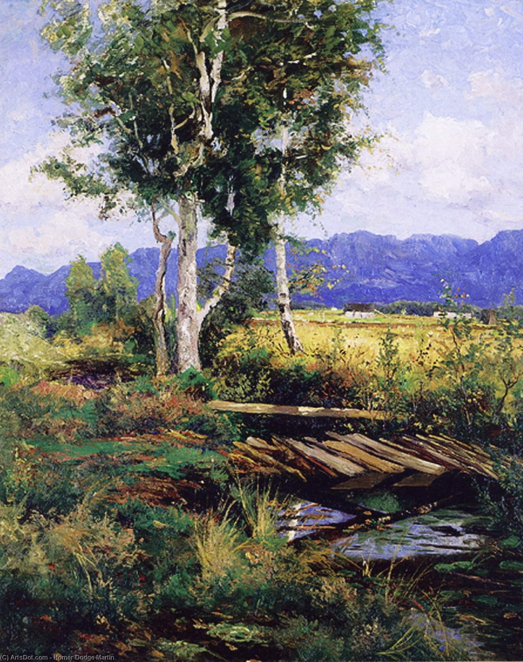 Toward The Adirondacks — Гром Дотт Мартин