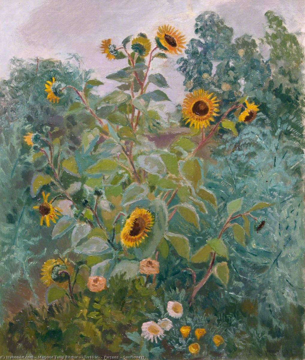 Sunflowers — Marjorie Tulip Ritchie ('trekkie') Parsons