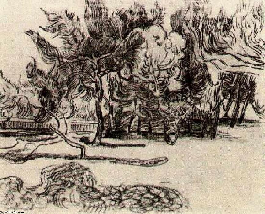 Pinos Cerca Del Muro Del Asilo — Vincent Willem Van Gogh