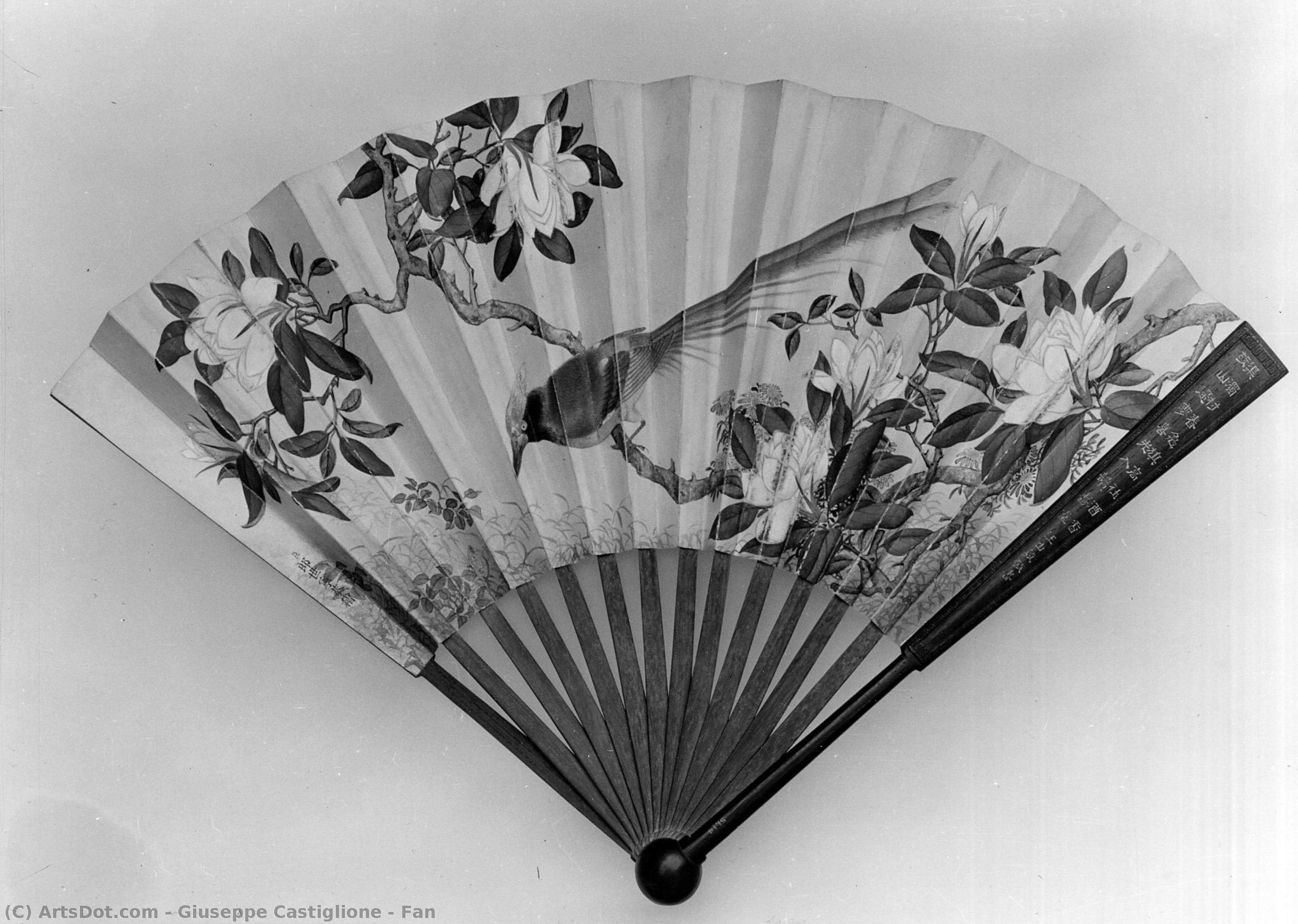 Fan — Giuseppe Castiglione