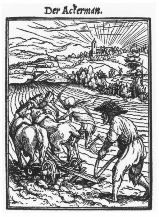 The Plowman — Hans Holbein The Younger
