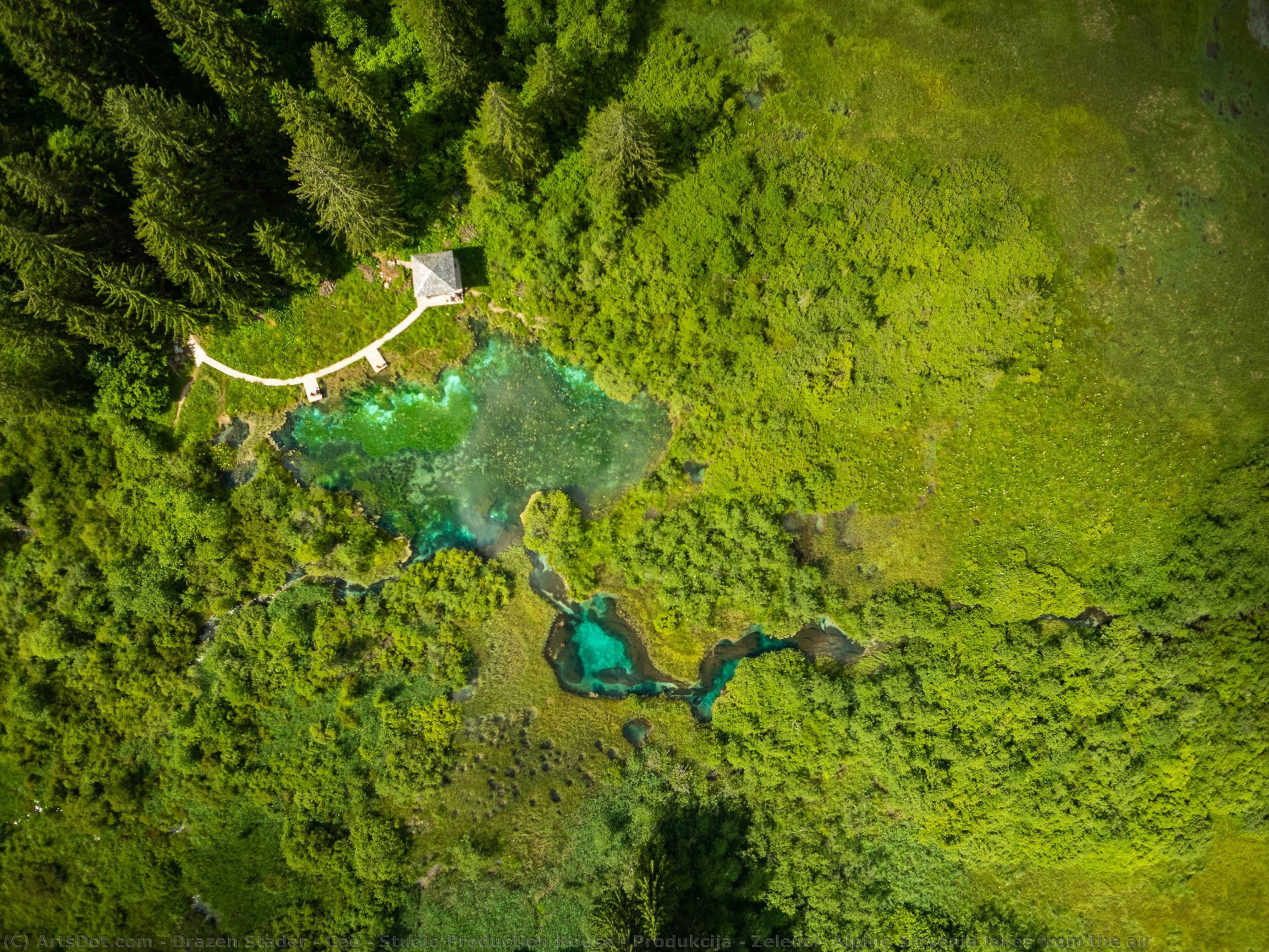 Zelenci, Alpine Slovenia Lakes From The Air — Drazen Stader - Ceo - Studio Production House - Produkcija