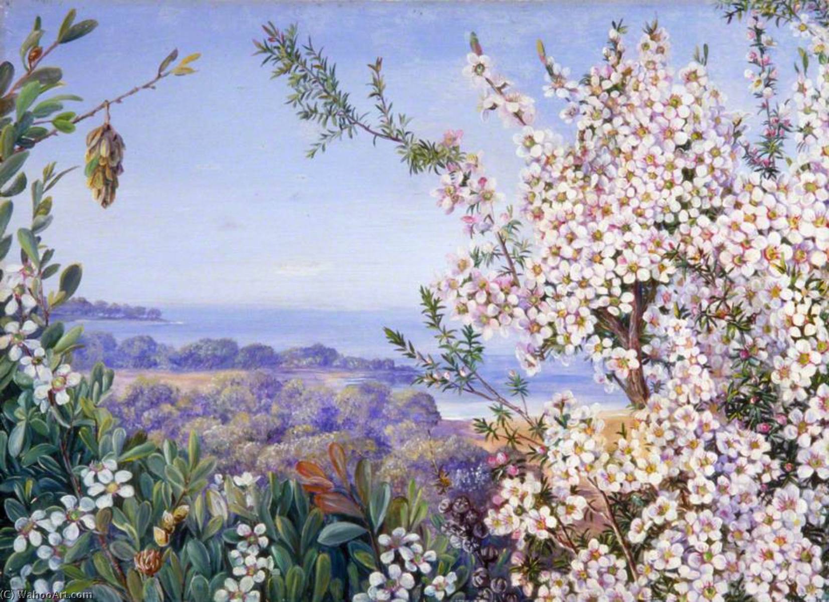 View Near Brighton, Victoria — Marianne North