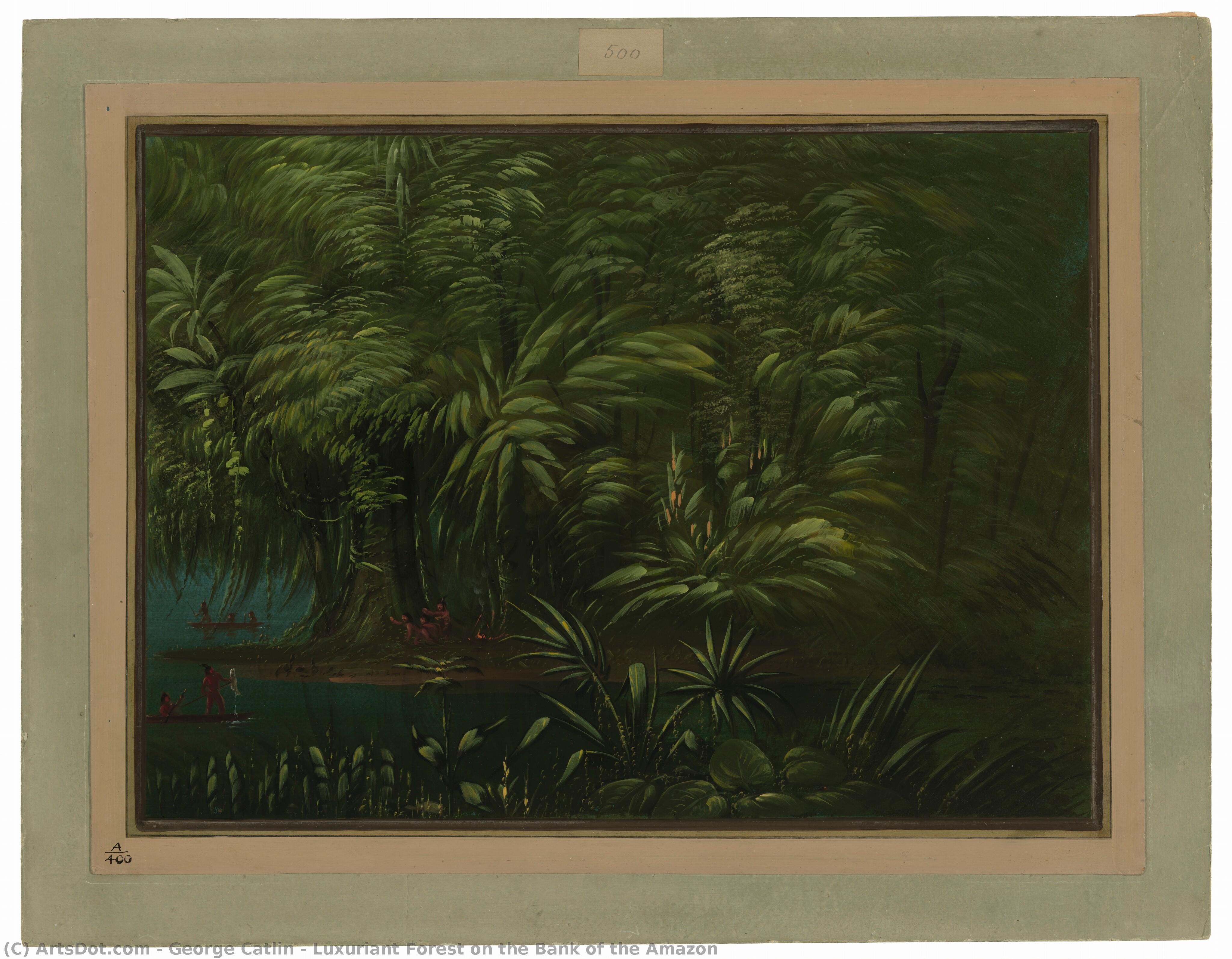 Luxuriant Forest On The Bank Of The Amazon — George Catlin