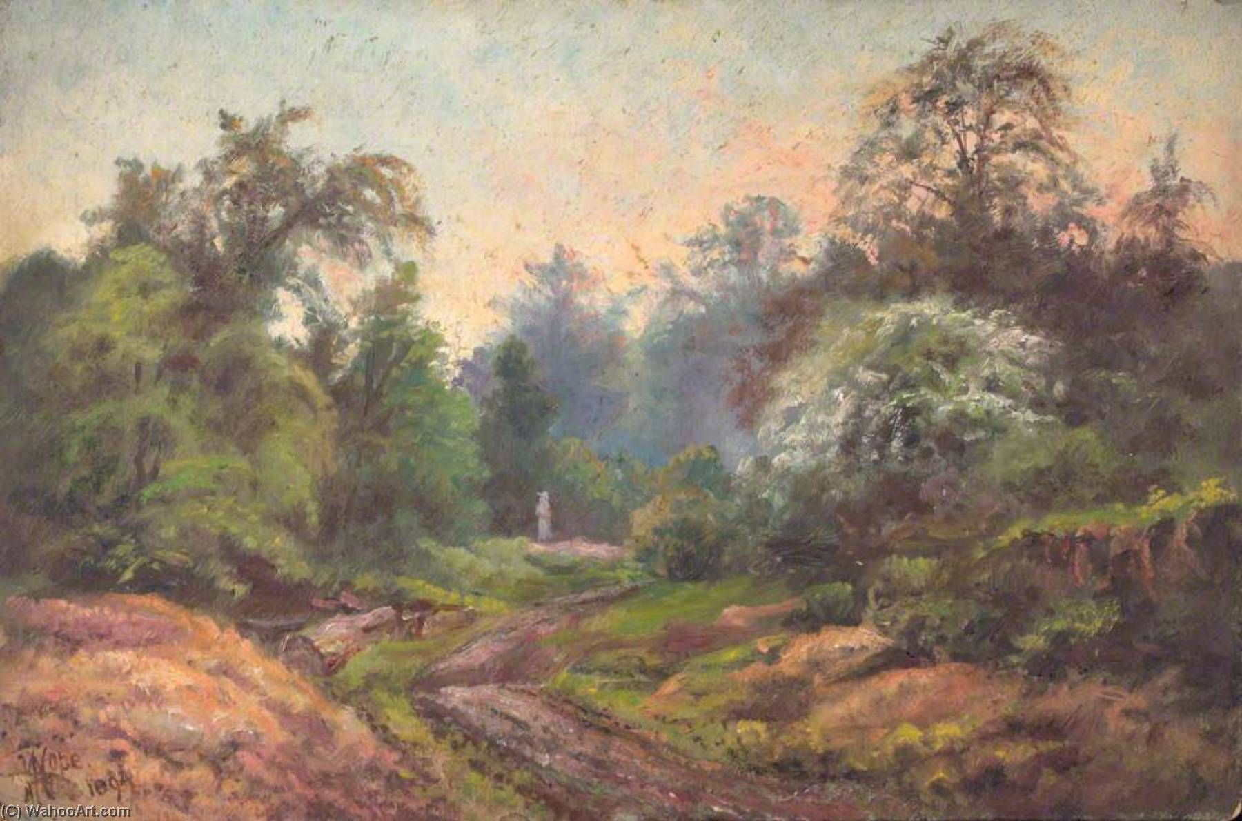 Looking From The Gravel Pit To Coombe Road, At The Foot Of The Addington Hills, Croydon, Surrey — William Henry Hope