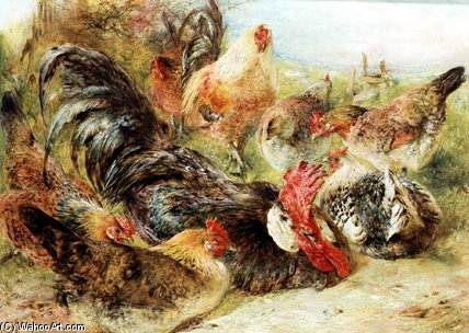 Poultry_2 — William Huggins