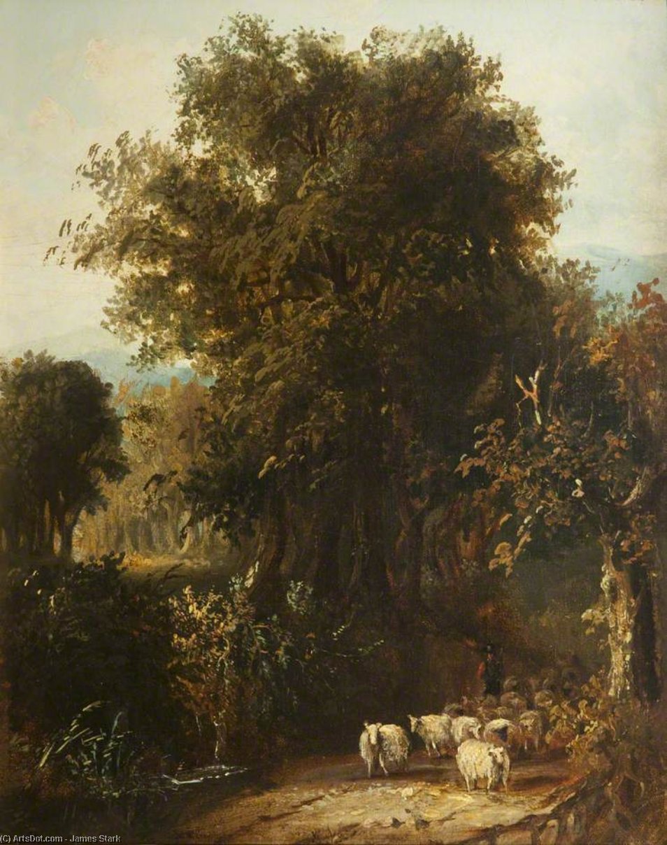 Norfolk Wooded Landscape — Džejms Stark