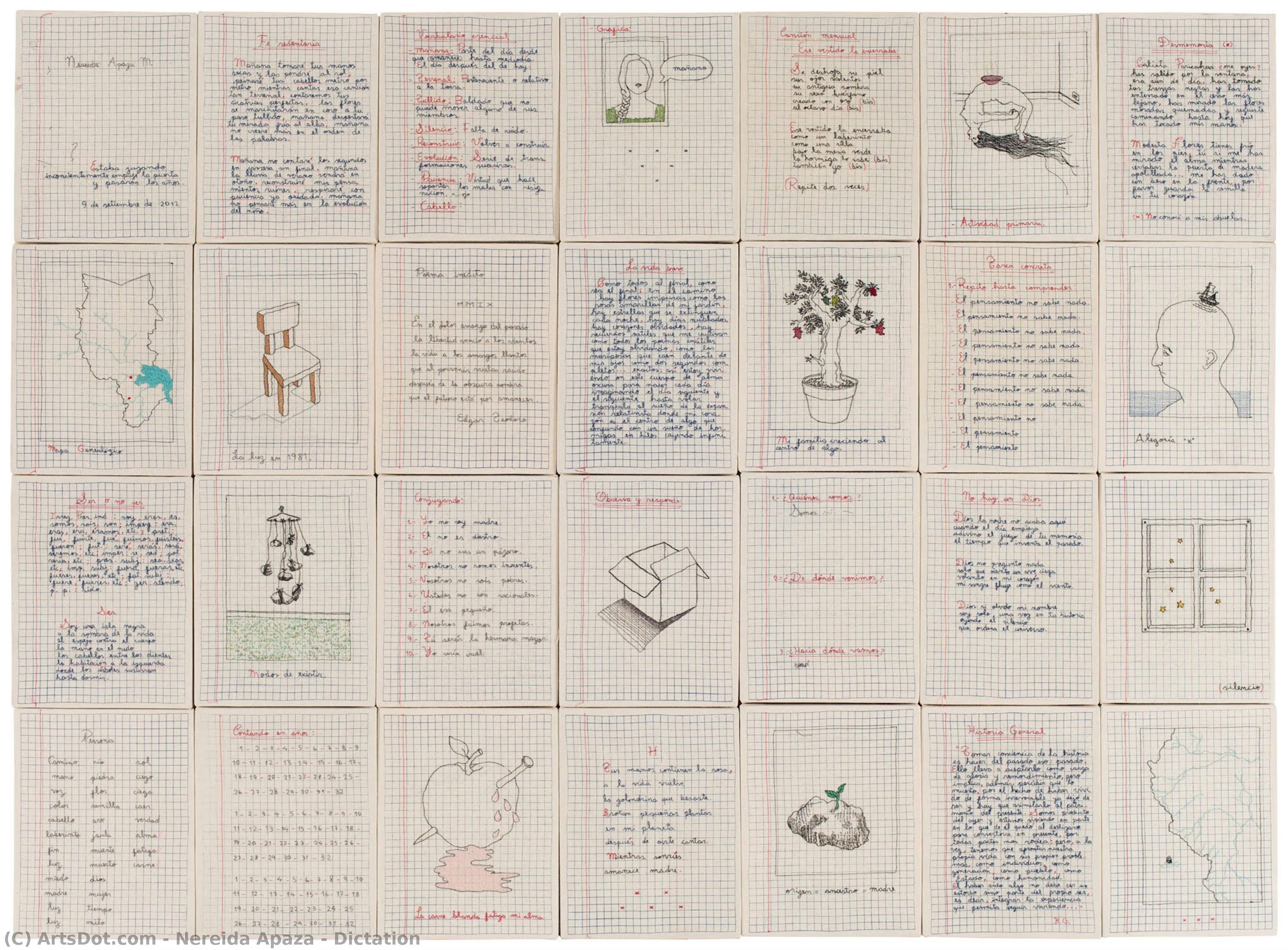 Dictation — Nereida Apaza