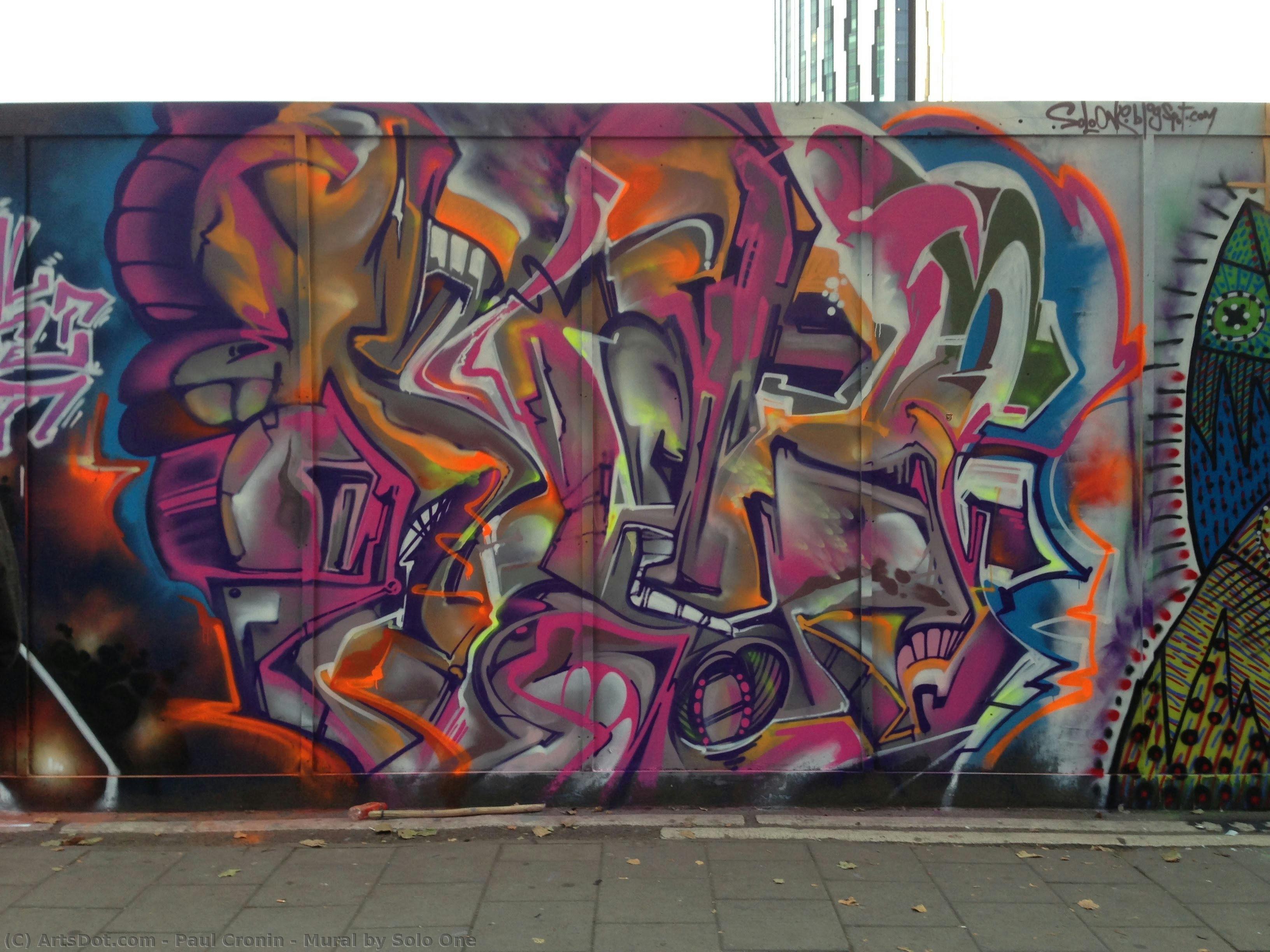 Mural By Solo One — Paul Cronin
