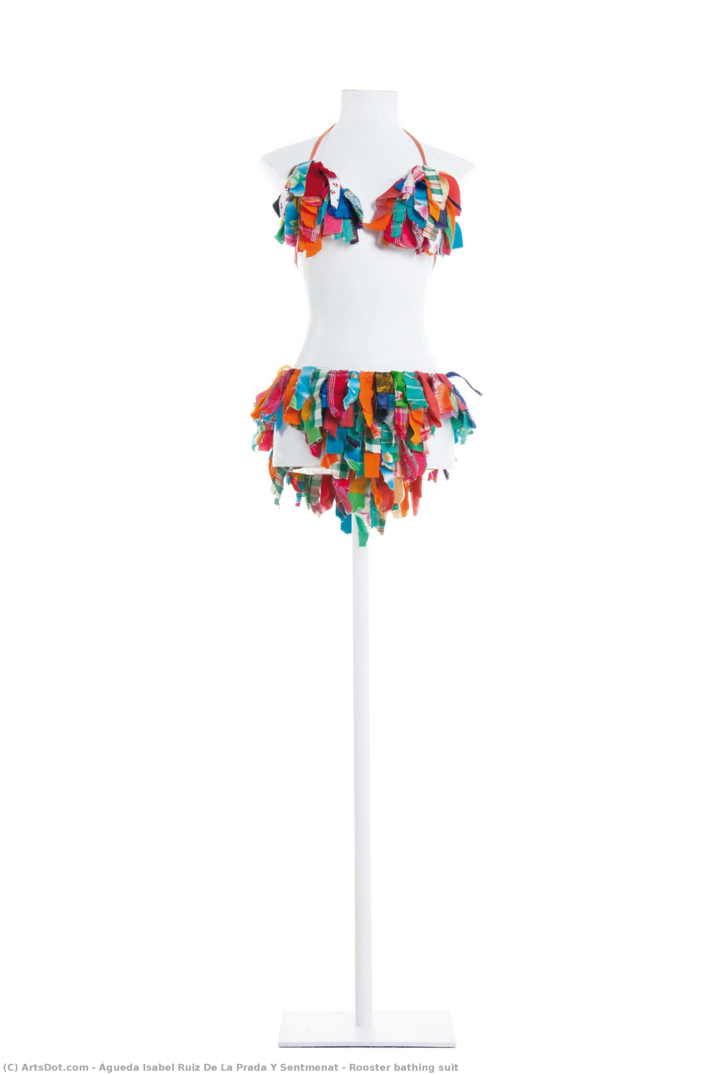 Rooster Bathing Suit — Águeda Isabel Ruiz De La Prada Y Sentmenat