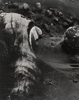 Sandstone Lobos, Returning Wave — Minor White
