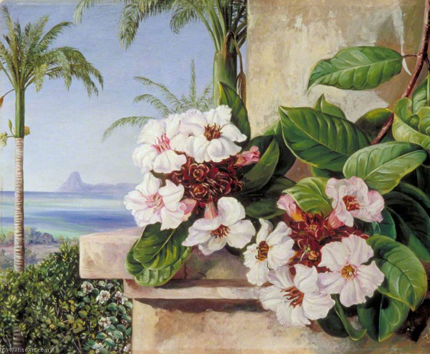 Blätter Und Blüten Einer Kletterpflanze Mit Königspalmen Und Dem Zuckerhut Im Hintergrund, Brasilien — Marianne North