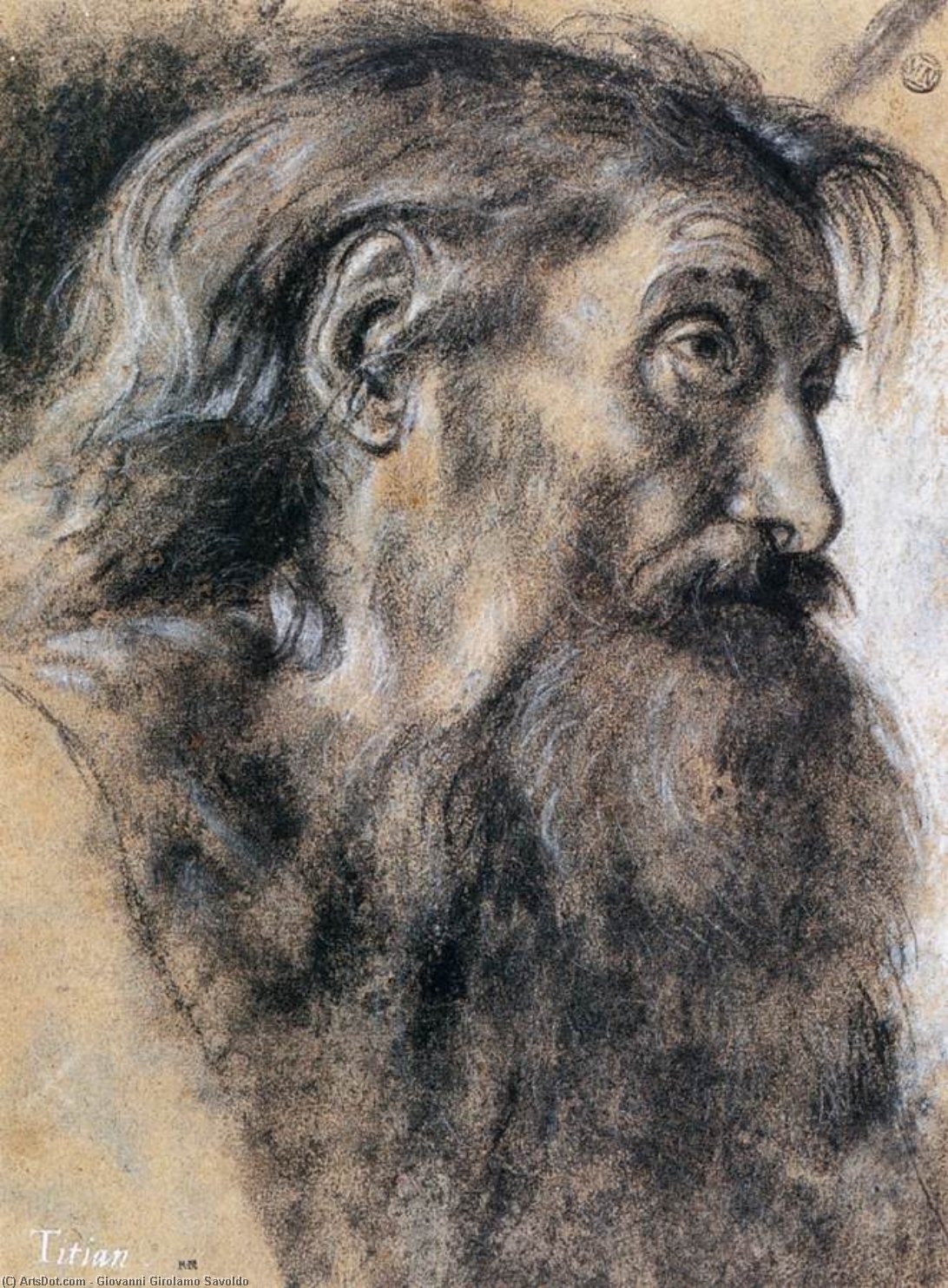 Head Of St Jerome — Giovanni Girolamo Savoldo
