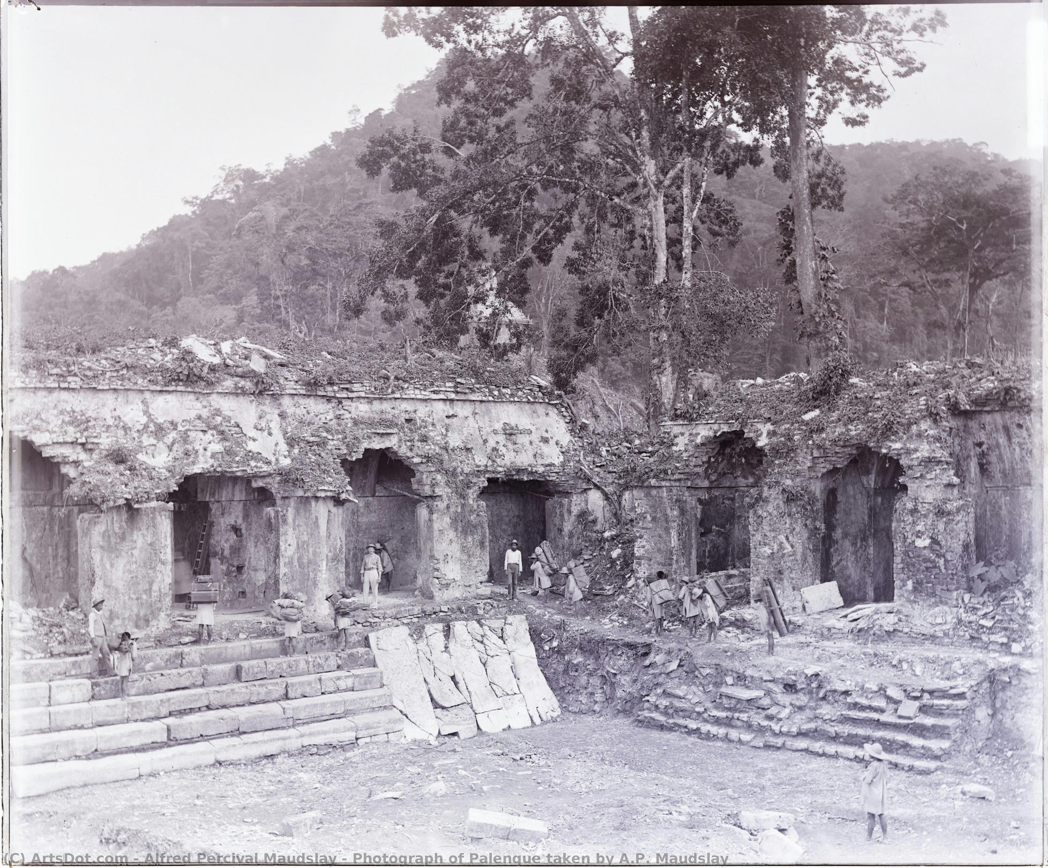 Photograph Of Palenque Taken By A.p. Maudslay — Alfred Percival Maudslay