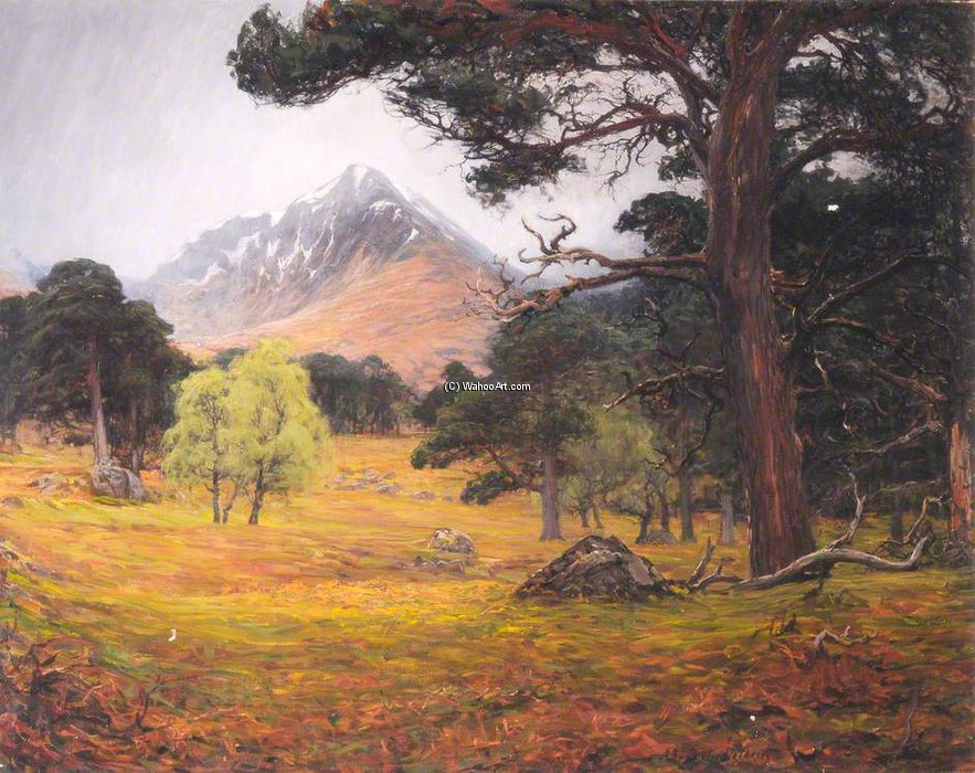 Cramcach Wood — Alexander Brownlie Docharty