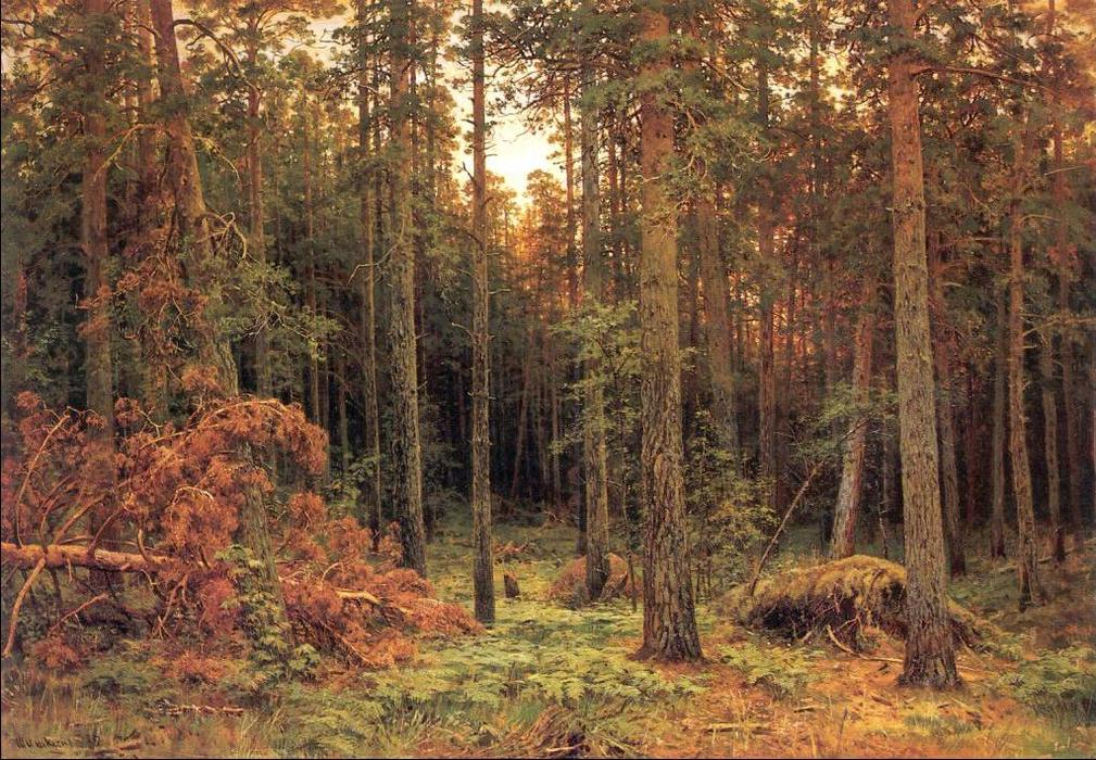 Piny Wood — Ivan Ivanovich Shishkin