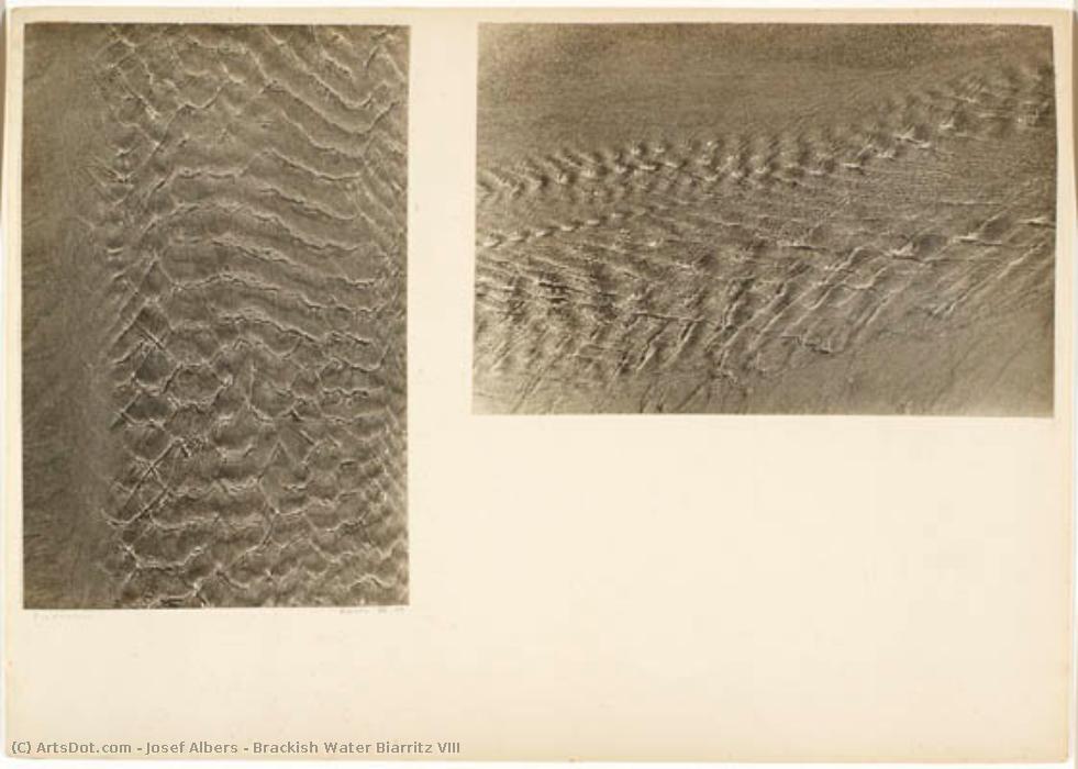 Brackish Water Biarritz Viii — Josef Albers