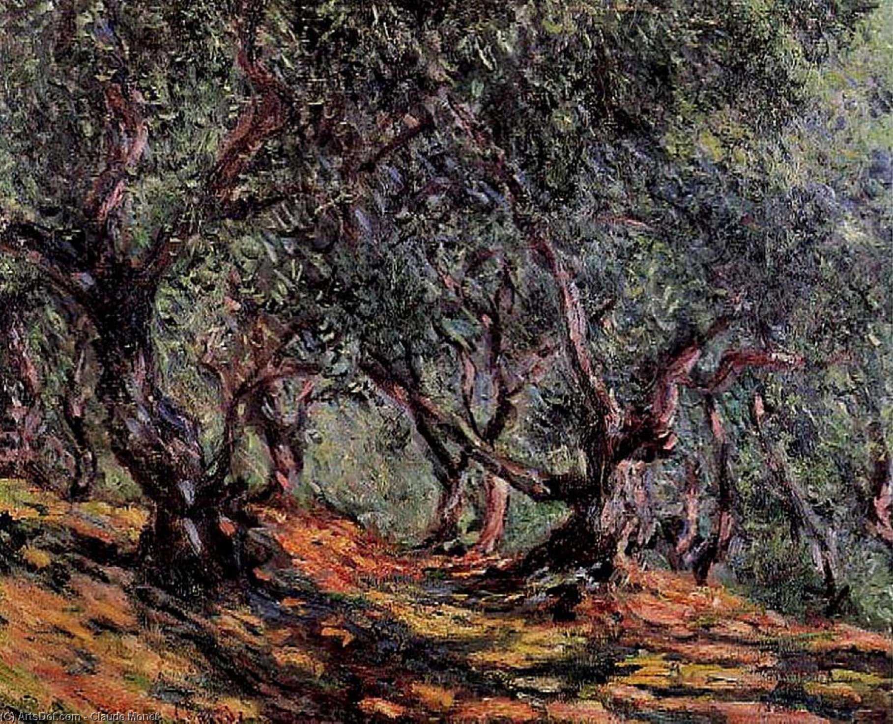 Olive Trees In Bordighera — Claude Monet