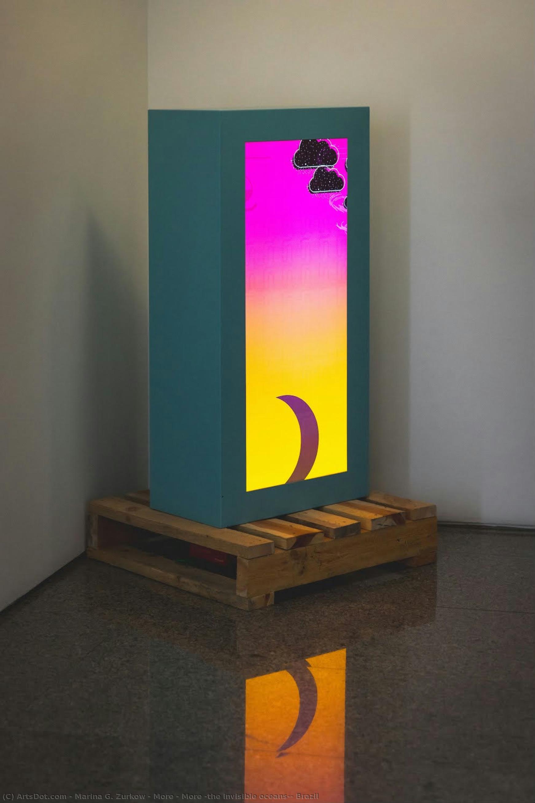 More & More (the Invisible Oceans): Brazil — Marina G. Zurkow