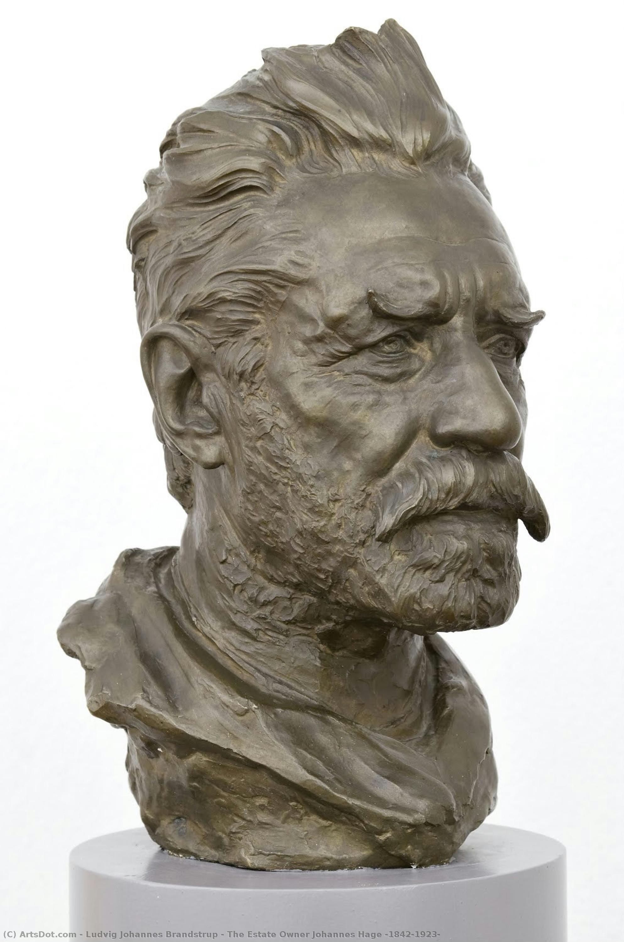 The Estate Owner Johannes Hage (1842-1923) — Ludvig Johannes Brandstrup