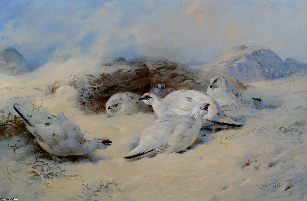 Ptarmigan Seeking Shelter — Archibald Thorburn