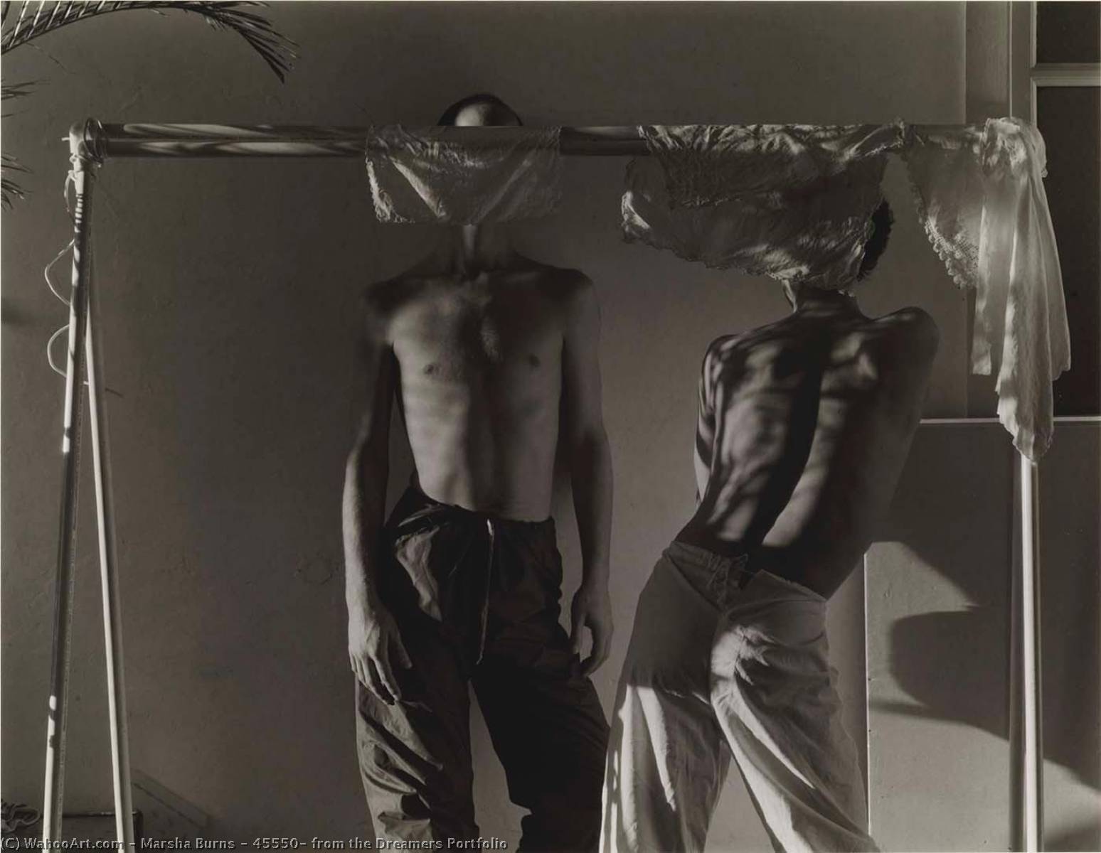 45550, From The Dreamers Portfolio — Marsha Burns