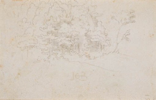 The Edge Of A Wood With Deciduous Trees — Hans Baldung
